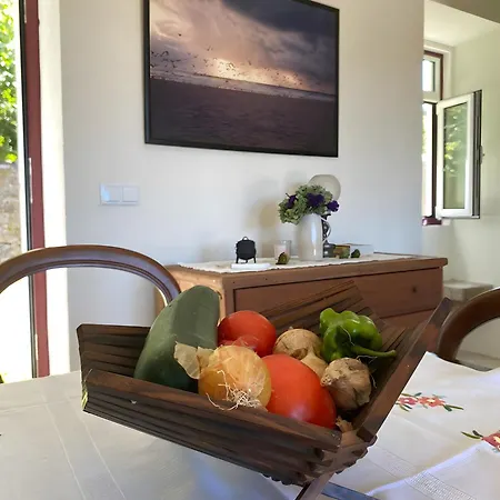 Casa Do Silencio בית חווה Vilar das Almas